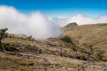 In den Bergen von Madeira