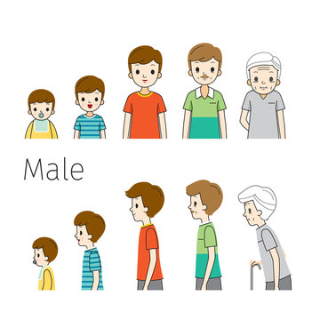 The Life Cycle Of Man. Generations And Stages Of Human Body Growth. Different Ages, Baby, Child, teenager, adult, Old Person. Outline, Side View, Age, People, Development, Lifestyle