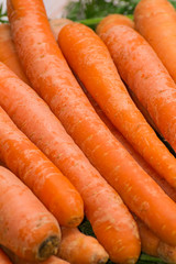 Fresh, raw, organic, bio, orange carrots. Healthy vegan vegetarian vegetable food 