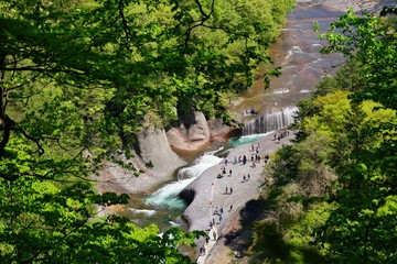 Fototapeta premium 吹割の滝