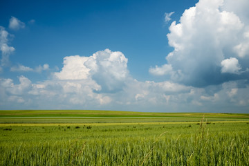 Obraz premium Beautiful summer day with white clouds on a blue sky