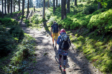 Obraz premium Hikers on a trail in a wood
