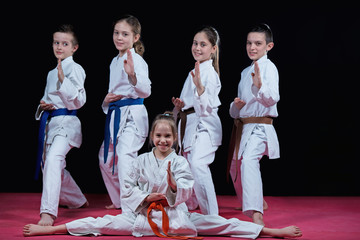 Group kids Karate martial Arts