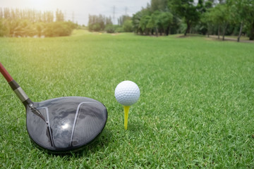 Golf ball and club on green grass .Sport Healthy concept.