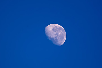 Waning moon taken in early morning