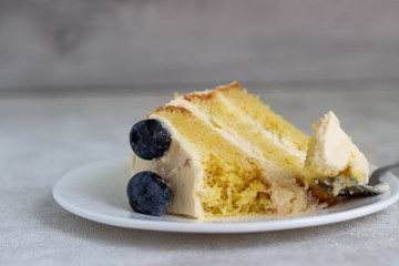 Blueberry and cream cake. Queen Victoria sponge cake with blueberry. 