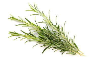 Rosemary spice on the white background.