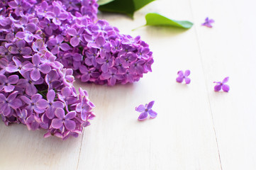 Lilac flowers on white wooden background. Spring flowers. Top view, flat lay with copy space