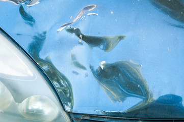 Hood of the blue car with scratched and damaged paint peeled from the crash accident or collision close up