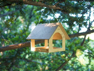 Wooden bird feeder hanging on a tree