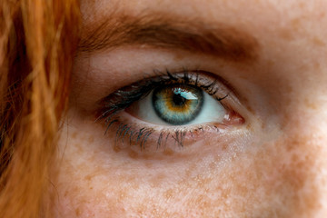 Close up of one eye of young red ginger freckled woman with perfect healthy freckled skin, looking at camera. Ophthalmology, Vision care - obrazy, fototapety, plakaty