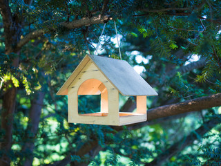 Wooden bird feeder hanging on a tree