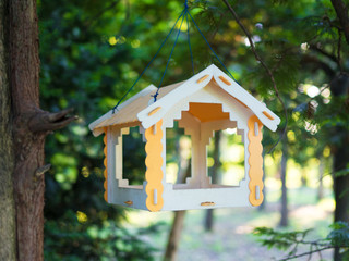 Wooden bird feeder hanging on a tree