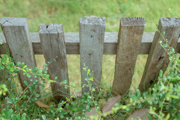 Old wooden fence outdoors