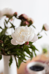 Pfingstrosen auf Frühstückstisch