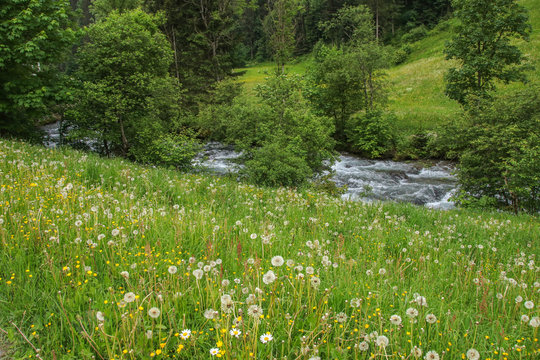 Wanderweg Wilde Wassser und Riesach-Wasserfall, Österreich 