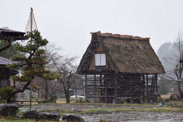 Rain Snow Foggy Season Traditional House and Village Farm Shirakawago Gifu Prefecture in Japan