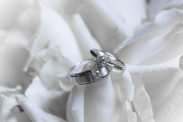 The couple's luxury wedding rings is placed on white rose petals.