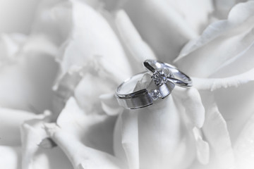 The couple's luxury wedding rings is placed on white rose petals.