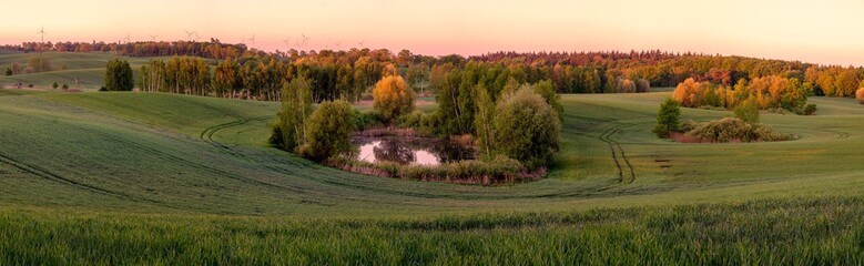  high resolution panorama of the spring field of young green cereal illuminated by the first rays of the rising sun