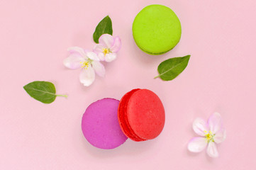 Cake macaron or macaroon with spring flowers on pink background top view flat lay, beautiful dessert, colorful almond cookies, pastel colors