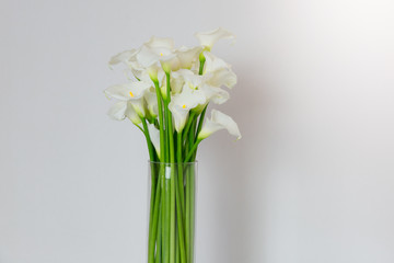 Naklejka na ściany i meble beautiful flower bouquet of calla