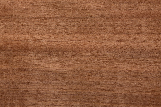 Contrast brown wooden veneer texture for your design.