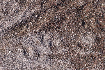 coarse wet sand with traces. background, texture