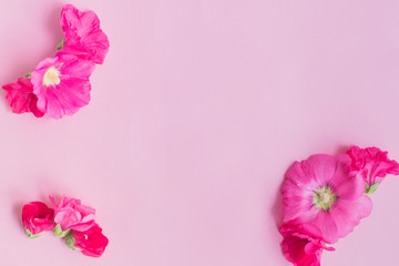 Flat lay frame of pink flowers
