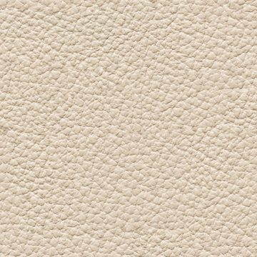 Ordinary leather background in gentle hue.