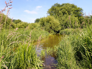 The River Chess at Rickmansworth, Hertfordshire, UK