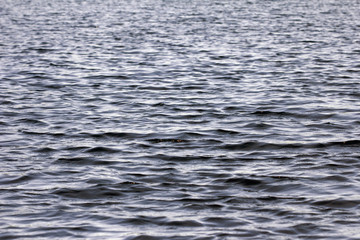 Obraz premium Wavy and disturbed water of the Baltic sea near Stockholm