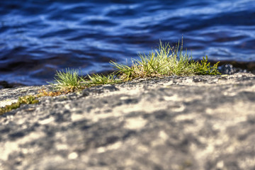 Wavy and disturbed water of the Baltic sea near Stockholm