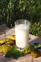 afternoon tea in nature with the milk and cookies mint