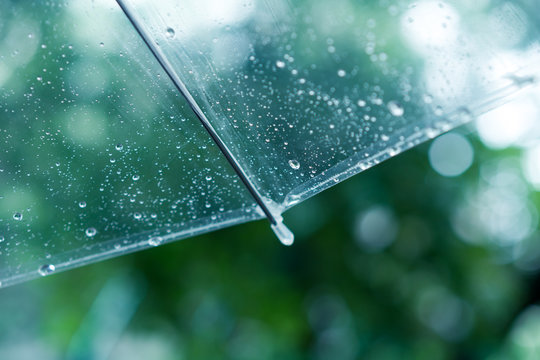 雨・傘