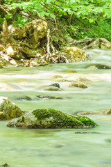 Mossy rock in a creek