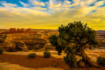 Sunset at the Maze Overlook in the Canyonlands National Park in Utah, is a magnificent event. 
