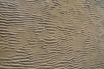 After the tide Italy 1