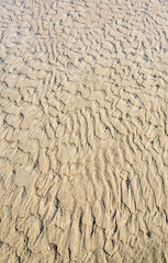 After the tide Italy