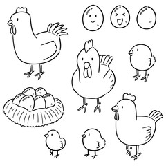 vector set of chicken and egg