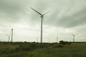molinos de viento-electricidad-energia alternativa-Espa&ntilde;a