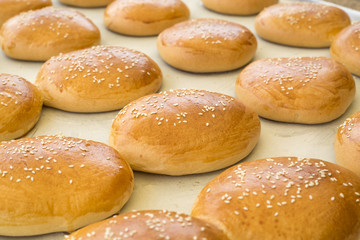 Freshly baked hamburger wholemeal bread