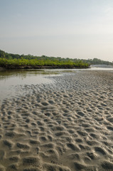 Mangroves swamp with estuary at coast of Sierra Leone near Tokeh Beach