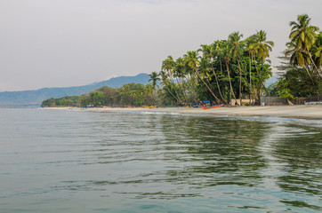 Calm water, palm trees and white sand beach at Tokeh Beach, south of Freetown, Sierra Leone, Africa