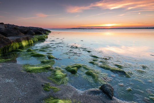 Sonnenuntergang an der Ostsee auf der Insel R&uuml;gen. Sonnenuntergang mit gr&uuml;nen Algen, Seegras.
