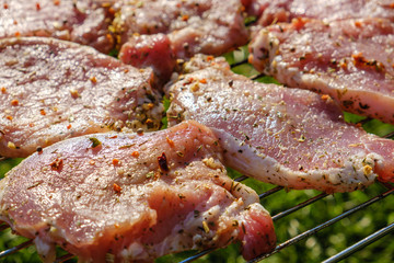 Raw meat on grill placed on grass.