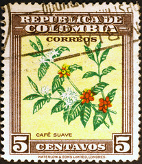 Plant of coffee on colombian postage stamp