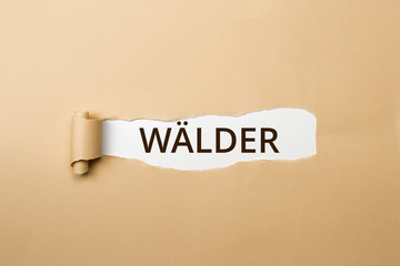 WÄLDER Schriftzug - aufgerissenes Papier