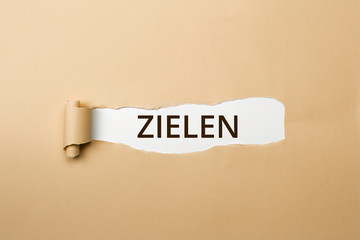 ZIELEN Schriftzug - aufgerissenes Papier