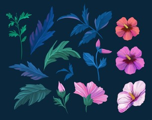 Floral decorative elements. Vector set with flowers, leaves.